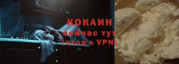 стафф Алзамай